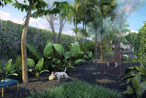 8621Even_Paulistania_Pet_Place_R04_LR2